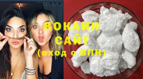индика Бикин