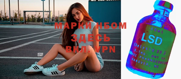 индика Бикин