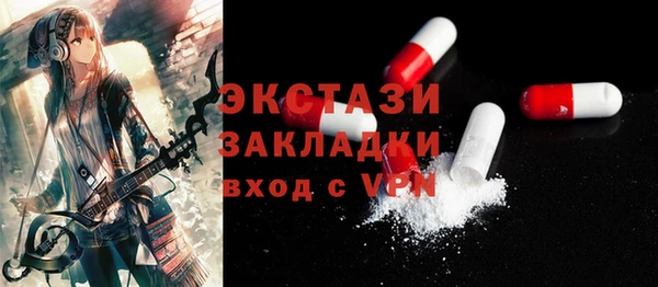 индика Бикин