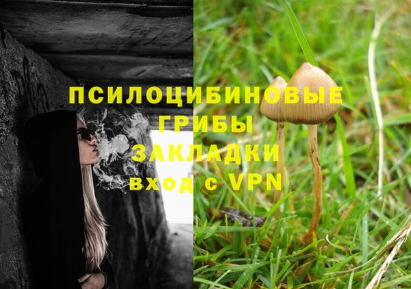 ешки Нефтегорск