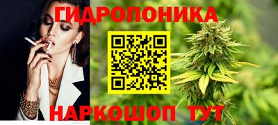 хмурый Малоярославец