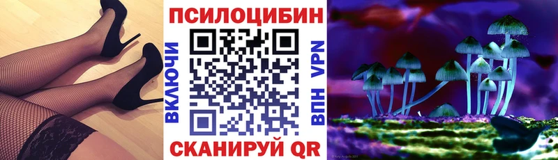 Псилоцибиновые грибы Cubensis  Холмск 
