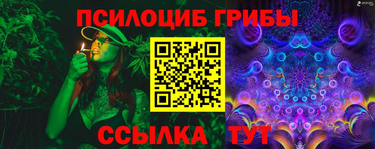 Галлюциногенные грибы Cubensis  магазин    Холмск  Вход с VPN 