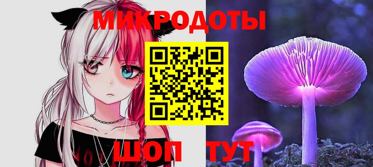 Галлюциногенные грибы Psilocybine cubensis Холмск